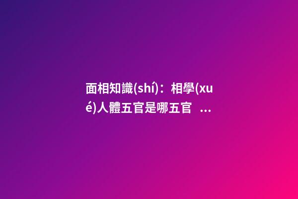 面相知識(shí)：相學(xué)人體五官是哪五官？